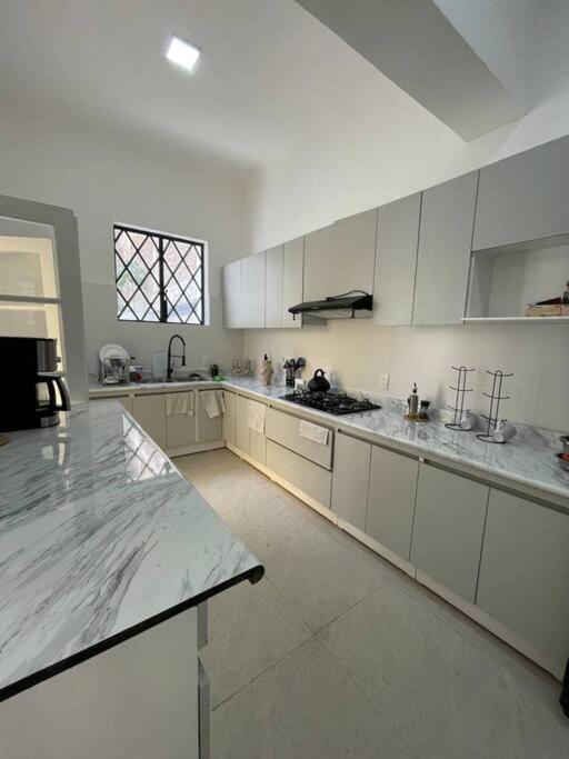 Uco Live Roma Hotel Kota Meksiko Bagian luar foto